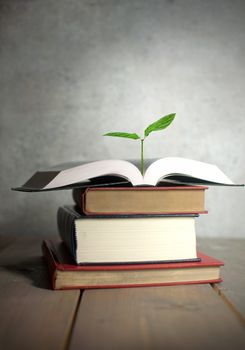 Open book with small plant