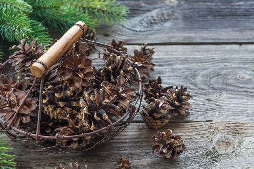 Christmas concept: full basket of pine cones and spruce branches on the background of old unpainted wooden boards. Christmas wallpaper