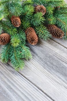 Christmas frame composed of pine cones and spruce branches on the background of old unpainted wooden boards; Christmas composition for greeting card with copy-space