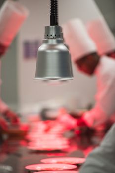 Team Chefs in luxury hotel restaurant kitchen cooking,