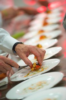 Male chef garnishing his dish, ready to serve, luxury diner