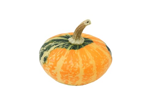 Small disc-shaped ornamental gourd with green and orange markings, isolated on a white background