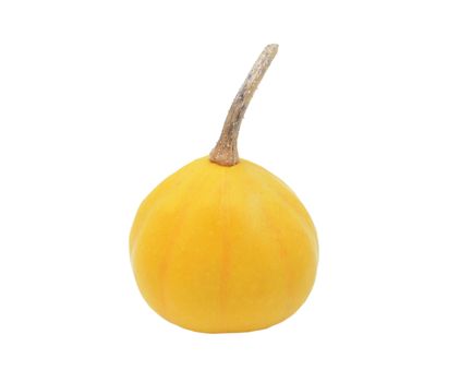 Small yellow ornamental gourd with faint orange stripes, isolated on a white background