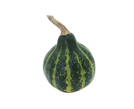 Spinning gourd, dark green striped ornamental squash, isolated on a white background