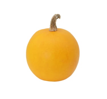 Smooth-skinned orange ornamental gourd, isolated on a white background