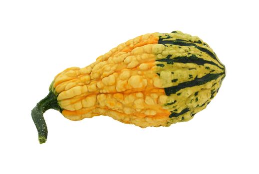 Yellow warty ornamental gourd with a green base, isolated on a white background