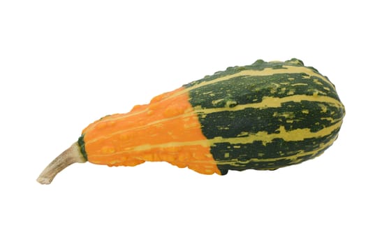 Pear-shaped ornamental gourd with bold orange and green stripes, isolated on a white background