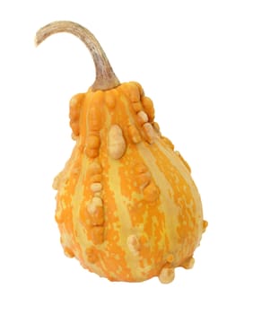 Dark orange pear-shaped ornamental gourd with yellow stripes, isolated on a white background