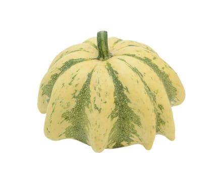 Cream Crown of Thorns ornamental gourd with green stripes, upturned showing a spiky stalk, isolated on a white background