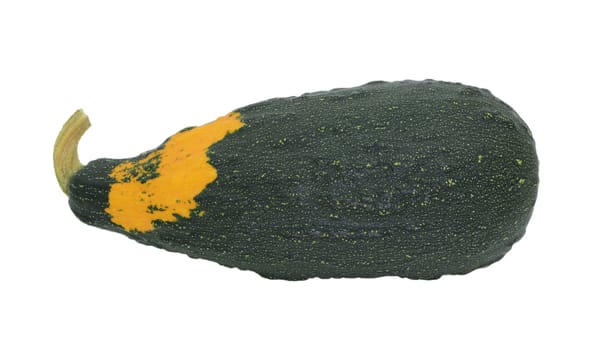 Large dark green marrow-shaped ornamental gourd with orange patch and warty lumps, isolated on a white background