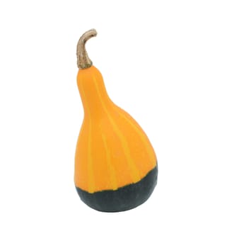 Smooth-skinned, pear-shaped orange and green ornamental gourd, isolated on a white background