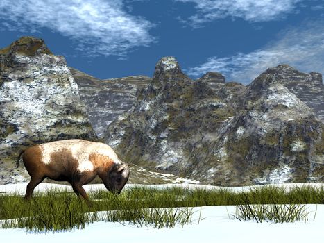 Bison in the mountain by winter - 3D render