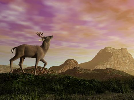 Buck in the mountain by sunset - 3D render