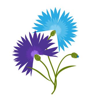 Blue flower cornflower isolated on white background. Cartoon centaurea cyanus