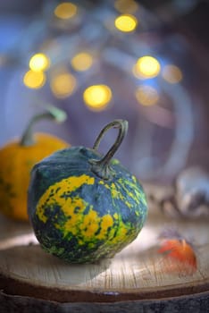 Autumn decoration with small pumpkins and lights