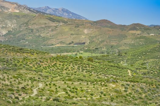 View of the green countryside of the island of Crete in Greece