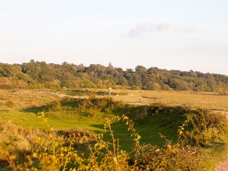 beautiful country farm grass land scene outside person walking his dog in distance ; England; Essex
