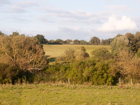 country hill and trees scene outside green and soft light; England; Essex