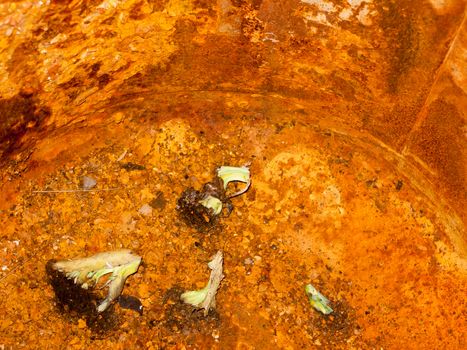 inside of an old rusty orange metal bucket texture dirty; England; Essex