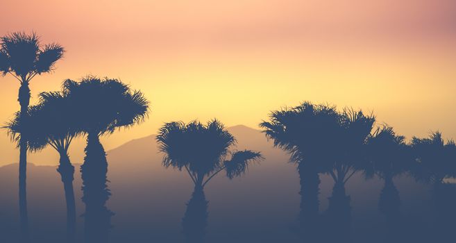 Retro Vintage Style Sunset Palm Trees Against A Desert Mountain Backdrop In Palm Springs USA