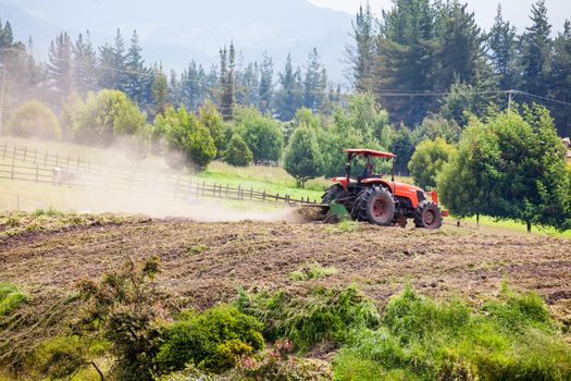 Tractor plowing and harvesting of yellow potato ( Solanum phureja )