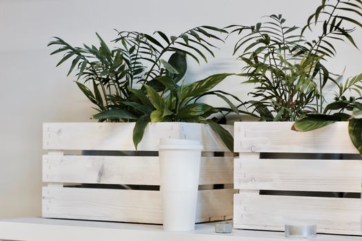 White large coffee cup near wooden crate with green beautiful flowers.
