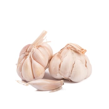 Isolated garlic. Raw garlic isolated on white background.