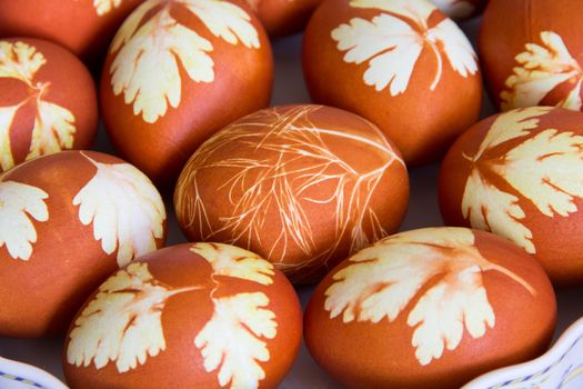 Photo of Easter eggs on white background