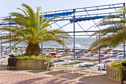 Empty beach with sun loungers and surfboard in summer day