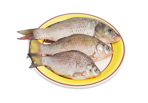One carp and two crucian carps different sizes with peeled scales and prepared for cooking on a yellow dish on a white background
