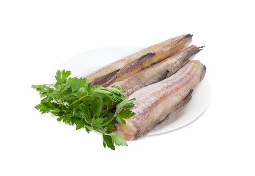 Uncooked carcasses of the Alaska pollock without of head and tail and bundle of parsley on a white dish on a white background
