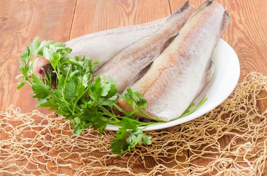 Three uncooked carcasses of the Alaska pollock without of head and tail and bundle of parsley on a white dish on a surface of old wooden planks with fishing net in foreground
