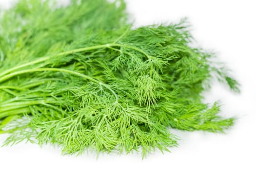 Bundle of freshly harvested dill on a white background closeup at shallow depth of field
