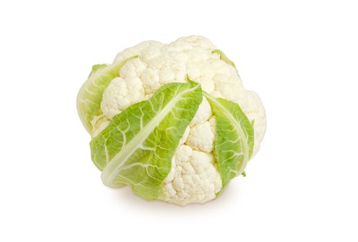 Head of the freshly harvested white cauliflower on a white background
