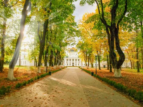 Alley in the autumn park and 18th century neoclassical palace on a background in national historic cultural preserve Kachanivka, Ukraine
