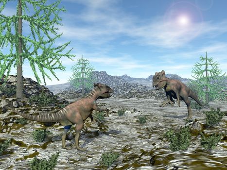 Two archaeoceratops dinosaurs looking at each other in the desert with araucaria trees by sunny day - 3D render
