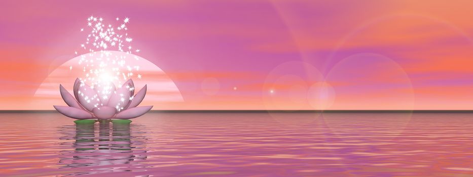 Pink lily flower with lots of stars upon water by sunset - 3D render
