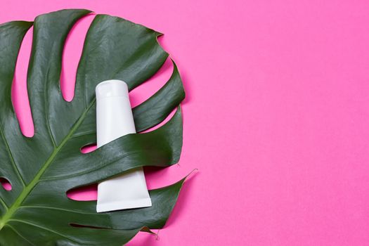 Cosmetic bottle containers with green herbal leaves on the pink background