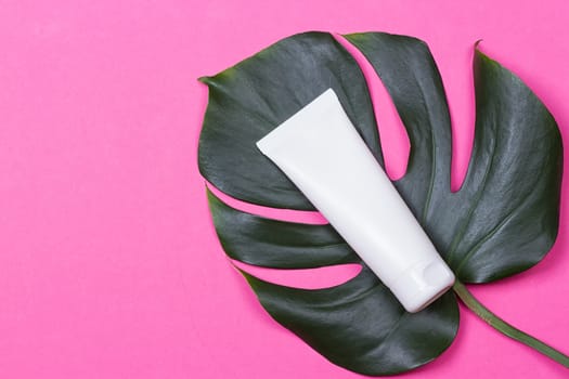 Cosmetic bottle containers with green herbal leaves on the pink background