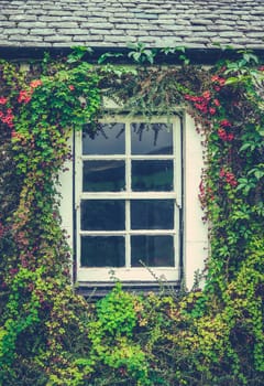 Detail Of A Window On An Old Cottage In England With A Lovely Floral Border