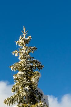 Blue Sky, Climate Change at Southern California, Big Bear Mountain, San Bernardino, 2016