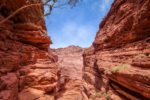 Garganta del diablo in Quebrada de las Conchas, Cafayate, Salta, Argentina