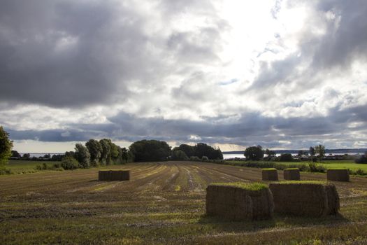 Large field with haystacks under a cloudy sky on a cloudy day.