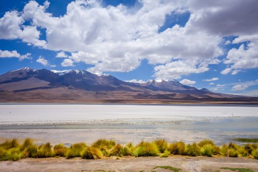 Laguna Honda in sud Lipez Altiplano reserva Eduardo Avaroa, Bolivia