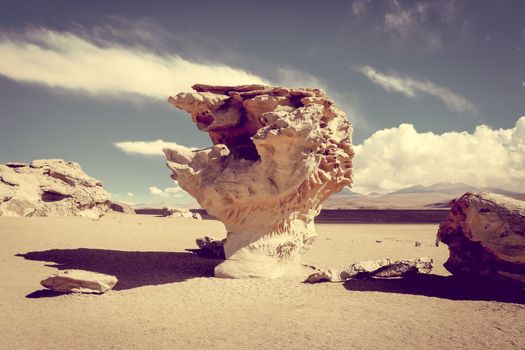 Arbol de Piedra in Siloli desert, sud Lipez reserva Eduardo Avaroa, Bolivia