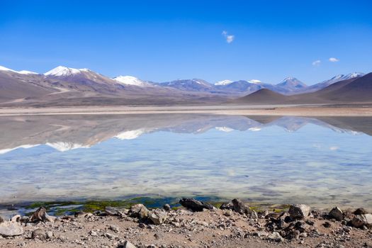 Clear altiplano laguna in sud Lipez reserva Eduardo Avaroa, Bolivia