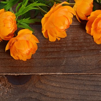 Beautiful orange flowers on a wooden background