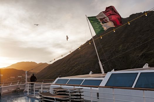 Man looking at seagulls flying in the sky on a cruise ship at sunset