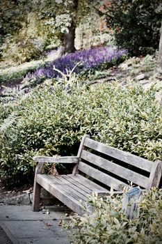 Nice wooden bench in park. Green and purple plants. RIchmond, London