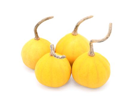 Group of four small yellow ornamental gourds with faint orange stripes, isolated on a white background